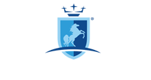 Pegaso Security